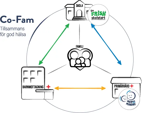 Model for the research project Co-fam, A partnership model for health promotion and early prevention and treatment of obesity