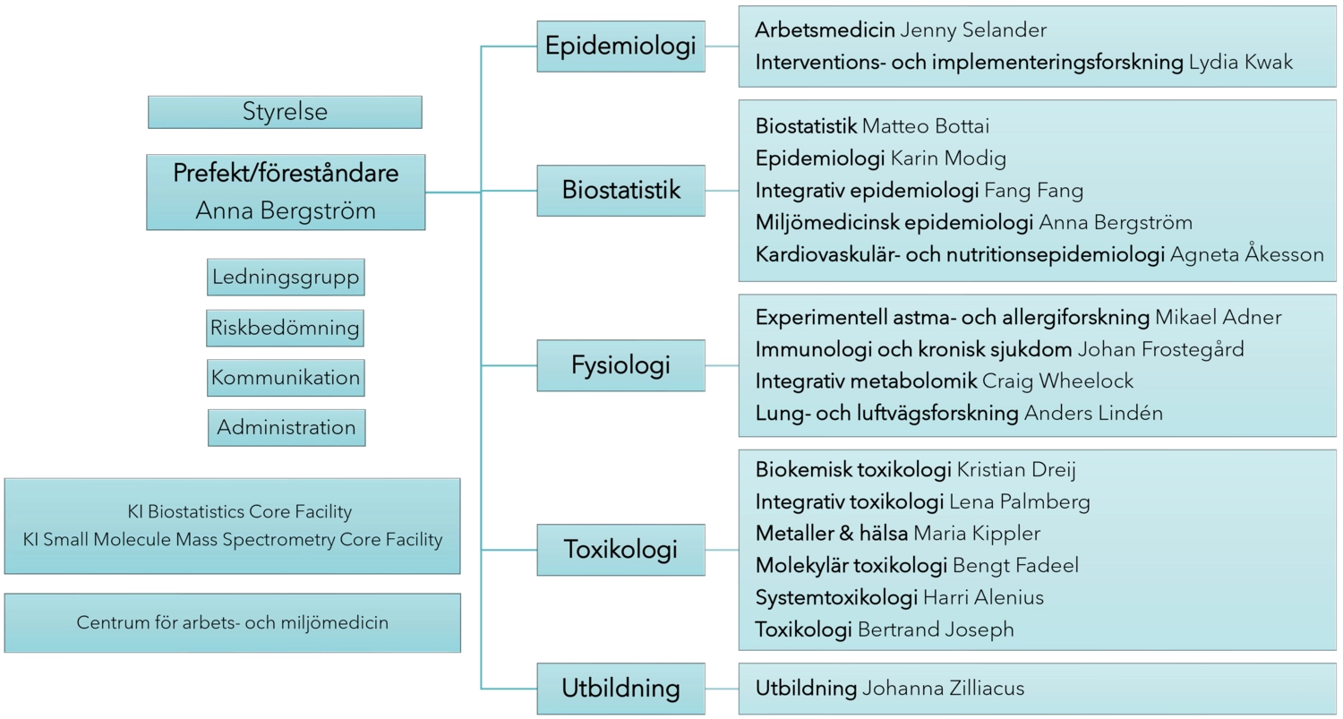 IMM organisation 2026