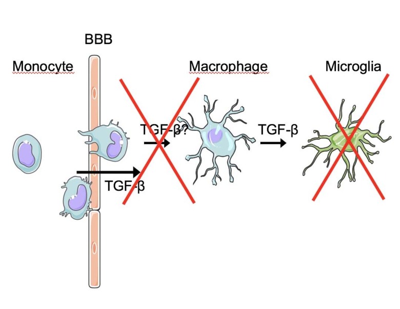 Nature, Bob Harris research group