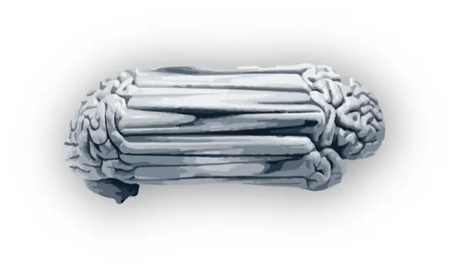 General illustration of Ampatzis lab's research focus.