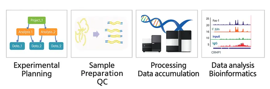 Four images showing services offered: experimental planning, sample preparation QC, processing data accumulation, data analysis bioinformatics
