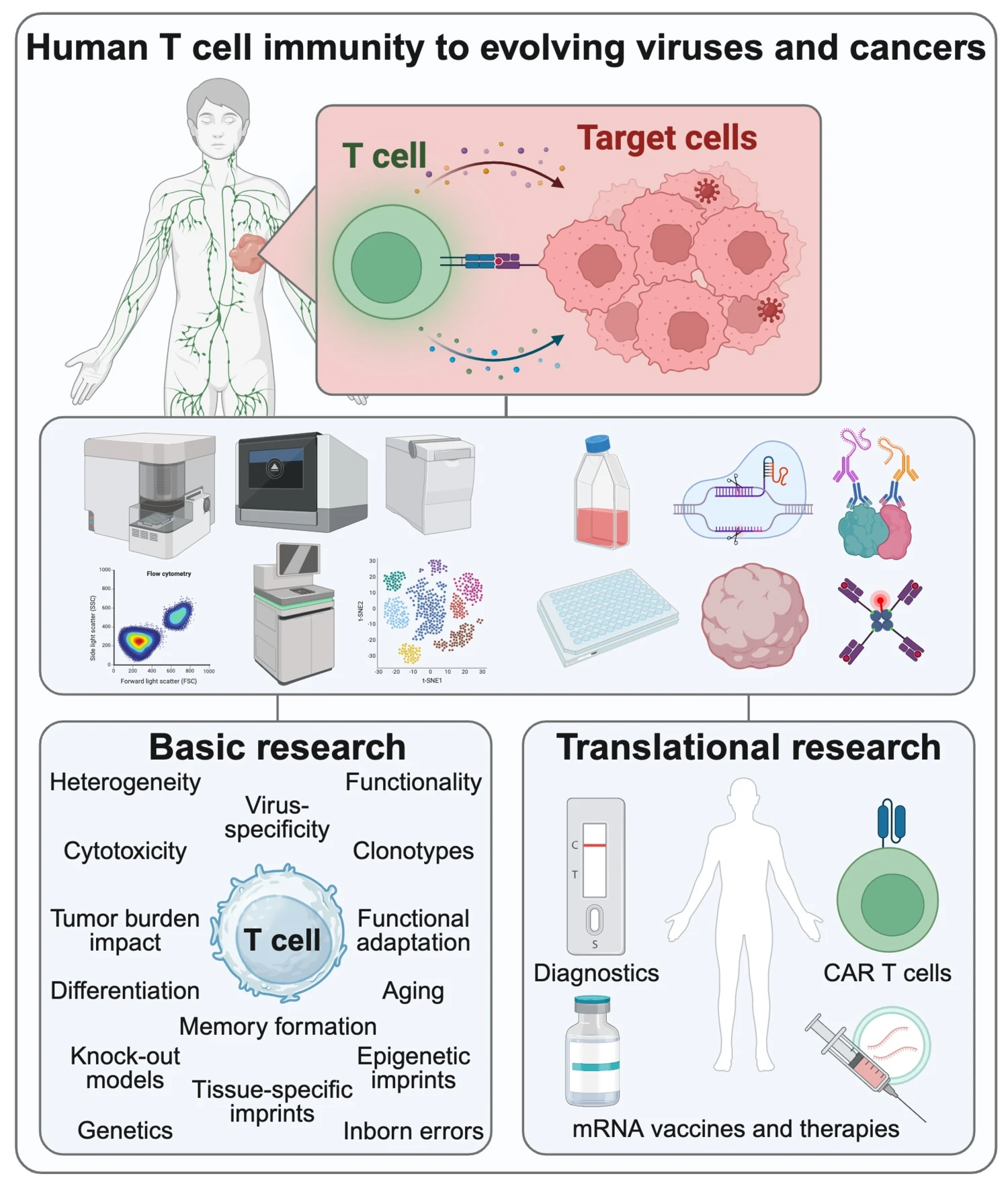 Illustration of project outlines in the Marcus Buggert research group.