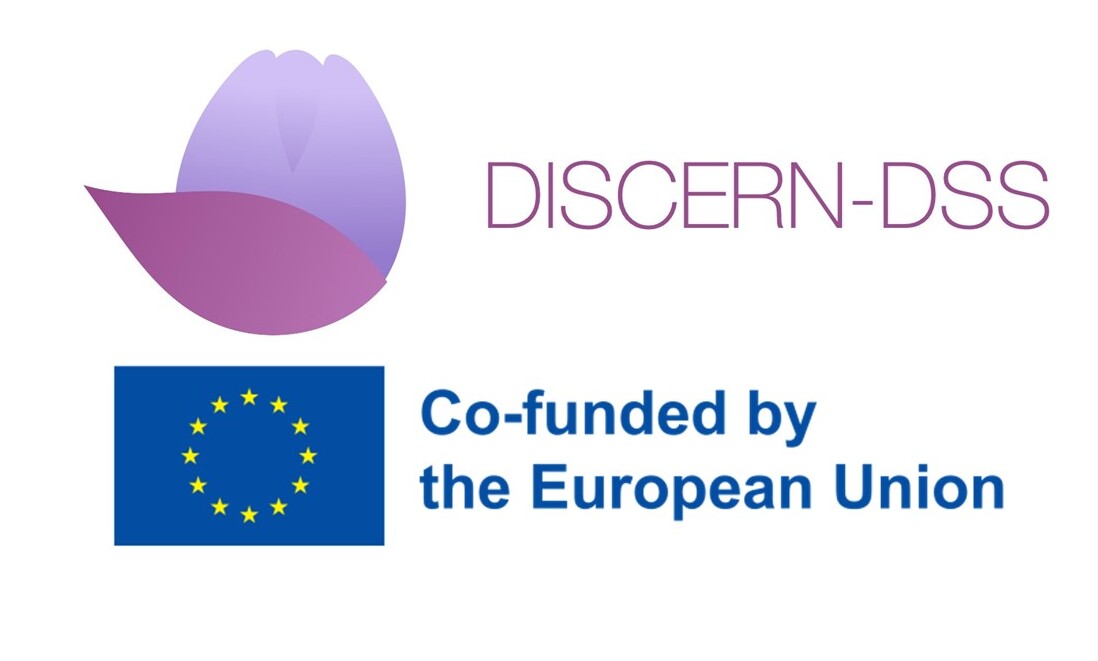 Logo for EU project DISCERN-DSS.