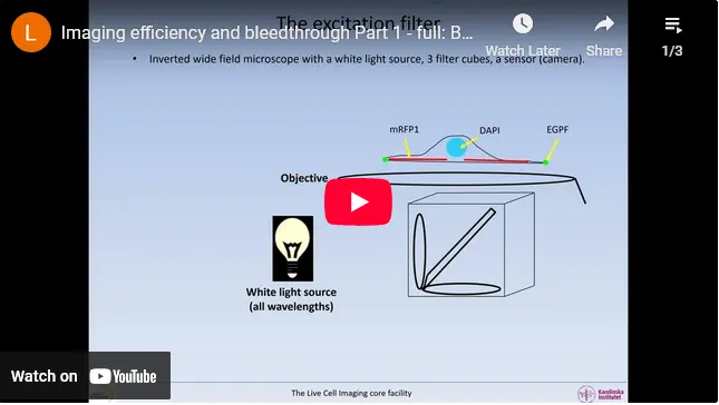 Imaging efficiency and bleedthrough