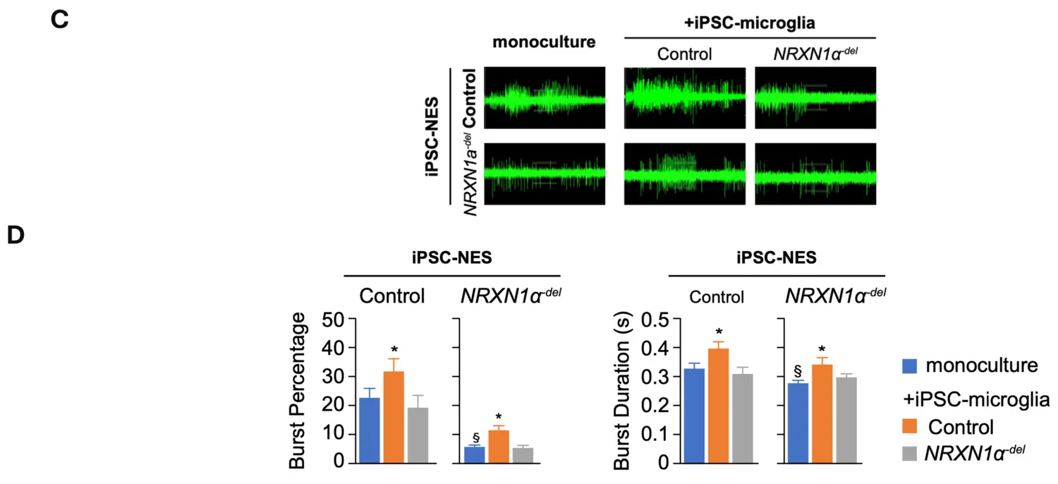 två ihopsatta bilder.