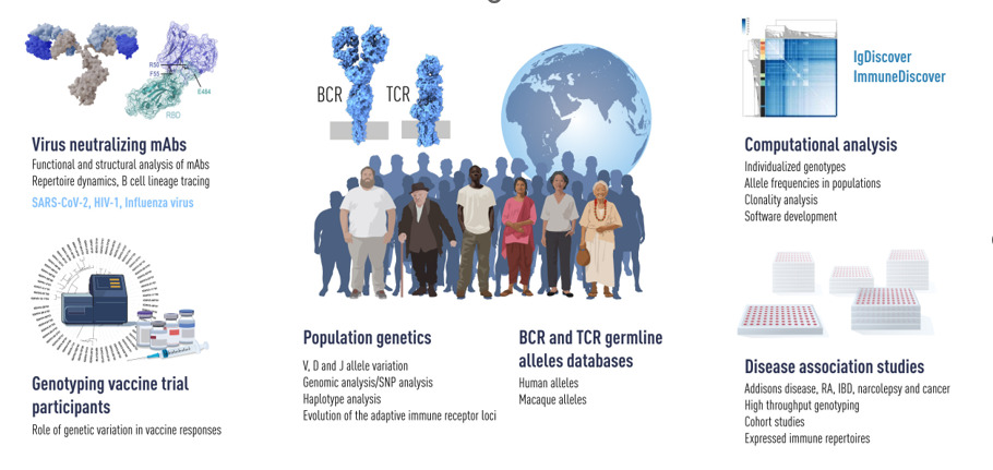 Gunilla Karlsson Hedestam Group