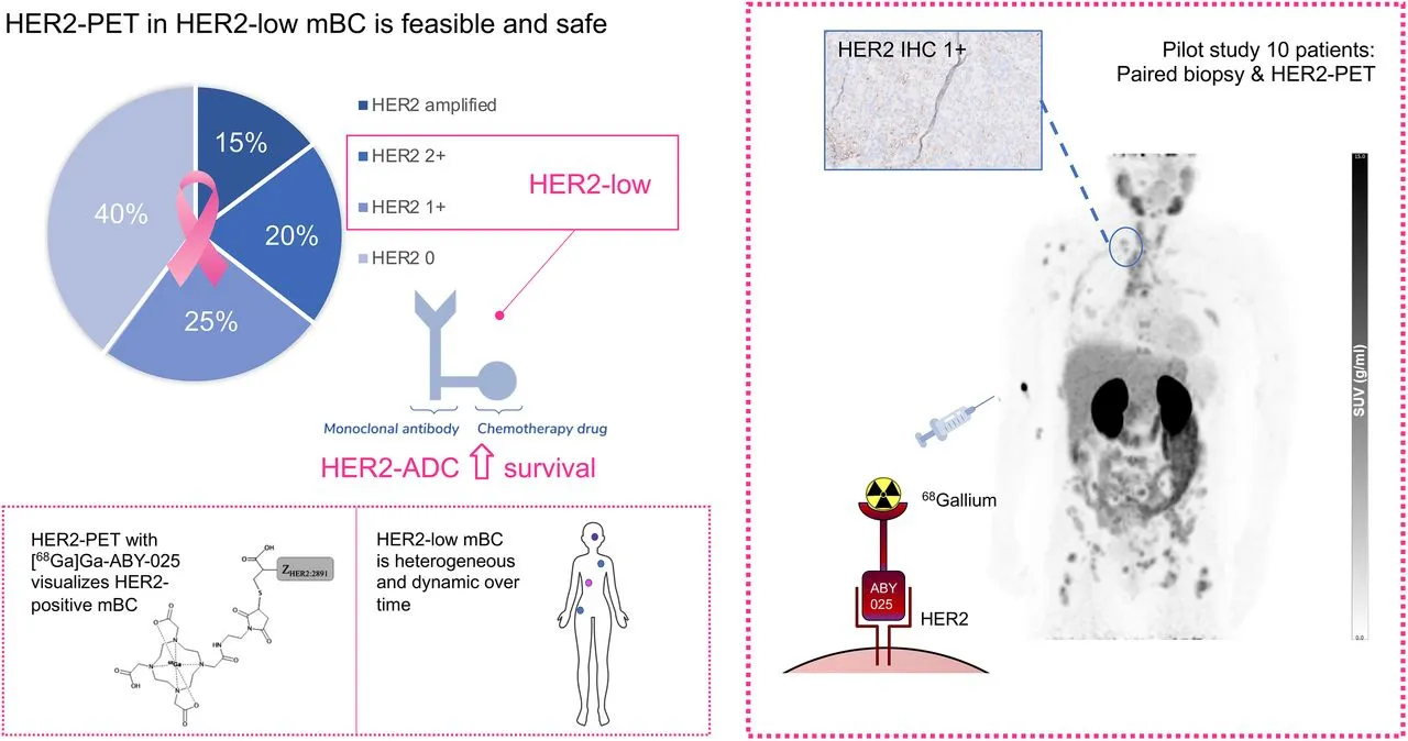Illustration of HER2-specific PET imaging in metastatic breast cancer.