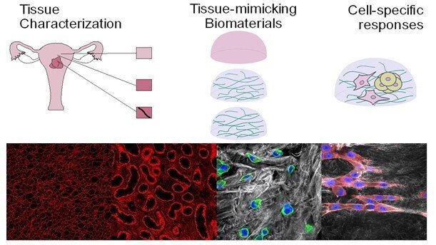 Picture from Kaisa Lehti group