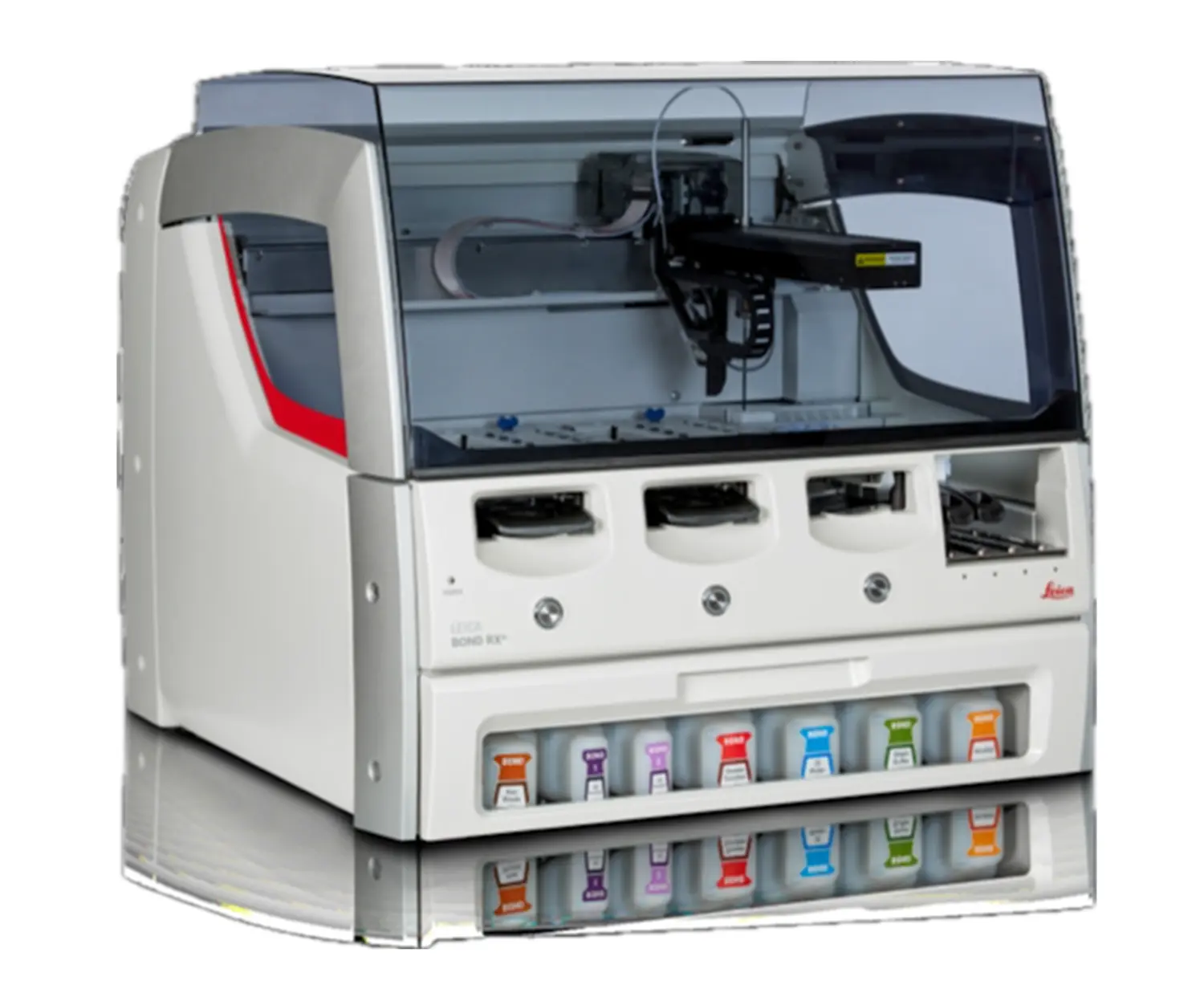 Equipment in Morphological Phenotype Analysis Core Facility (FENO).