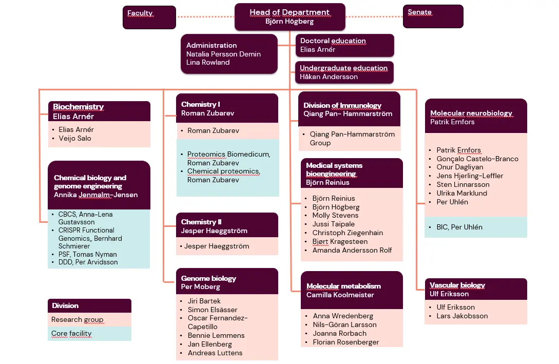 Organisational schedule MBB March 2026