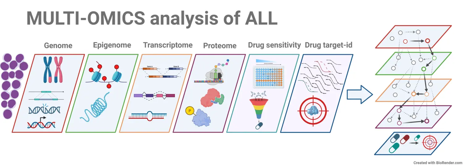 Schematic illustration of multi-omics analysis of acute lymphoblastic leukemia.
