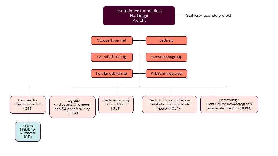 Organisationsskiss över institutionen för medicin, Huddinge (MedH).