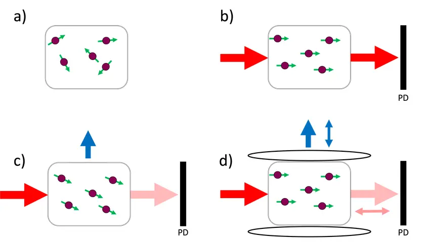 Schematic representation of an OPM.
