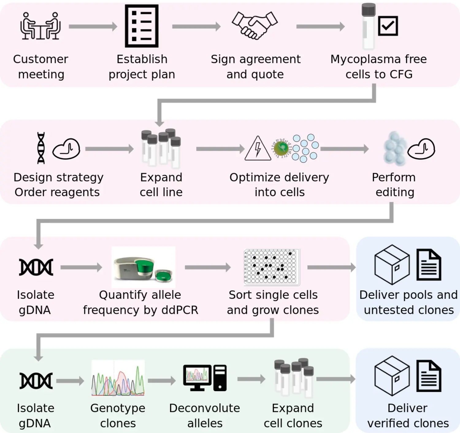 Workflow precision editing projects
