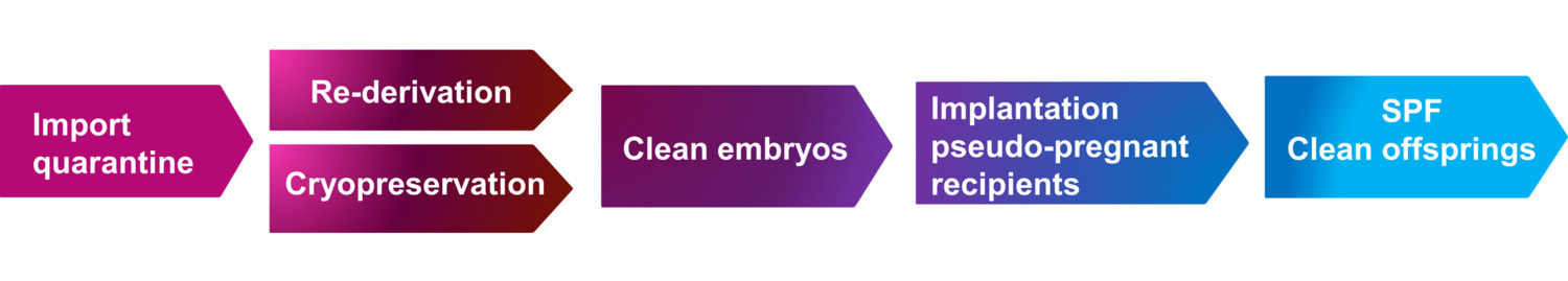 Graphic illustration of work flow at the facility.