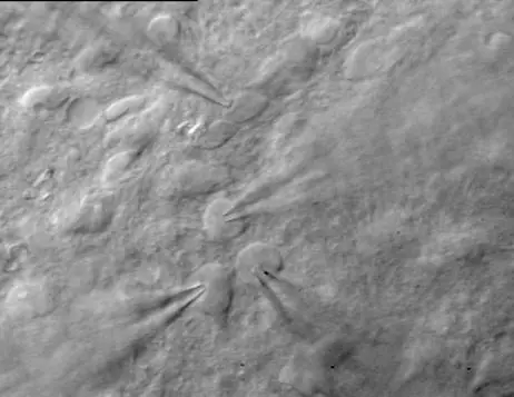 Inhibitory pathways in the Striatum (fig. 3)