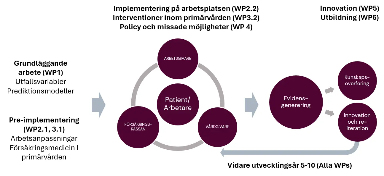 Sammanfattning av centrumets aktiviteter