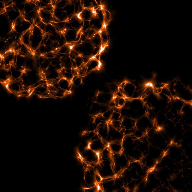 Picture of TIRF B celler with myosin