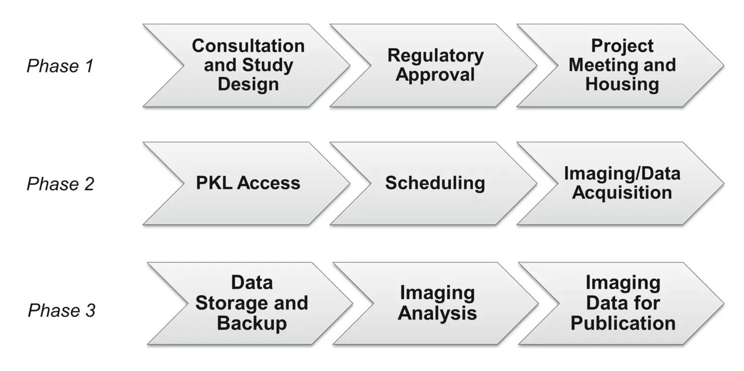 Illustration showing the work flow at PIF.