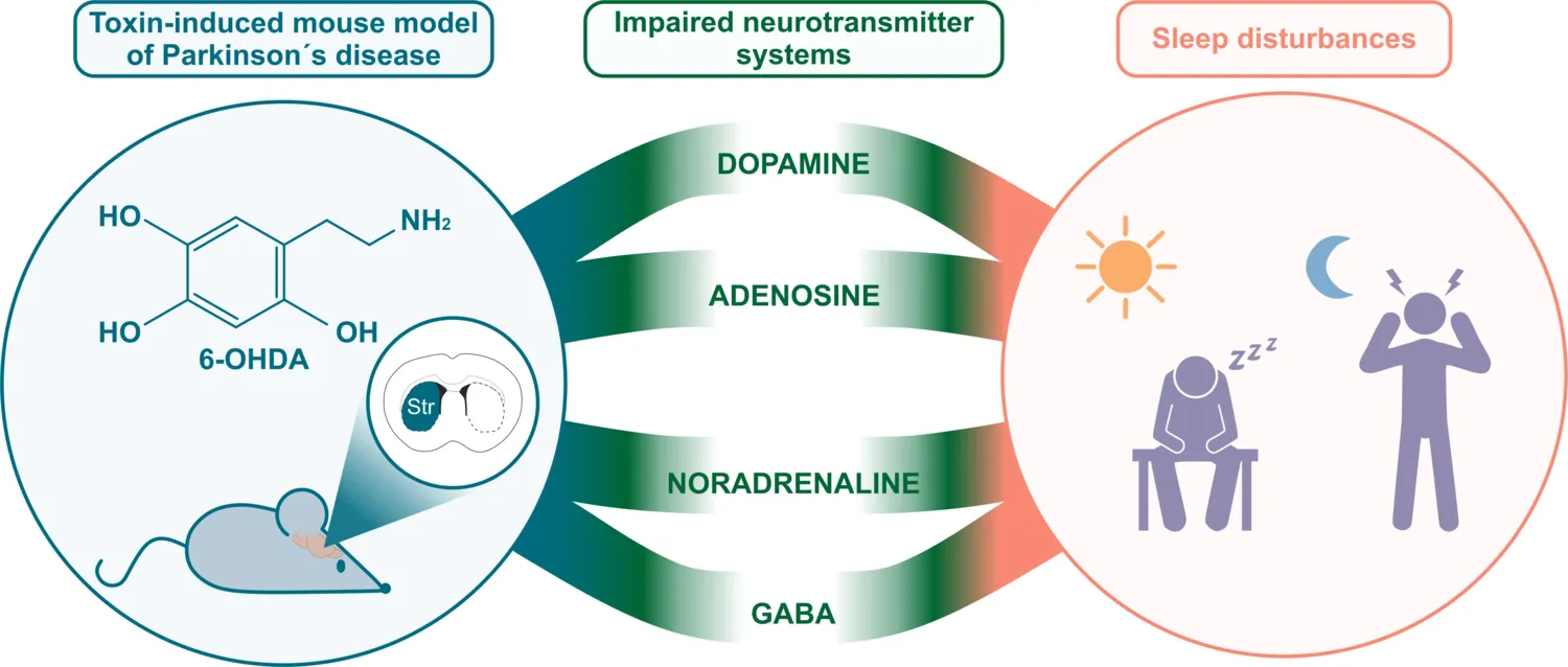 graphic illustration
