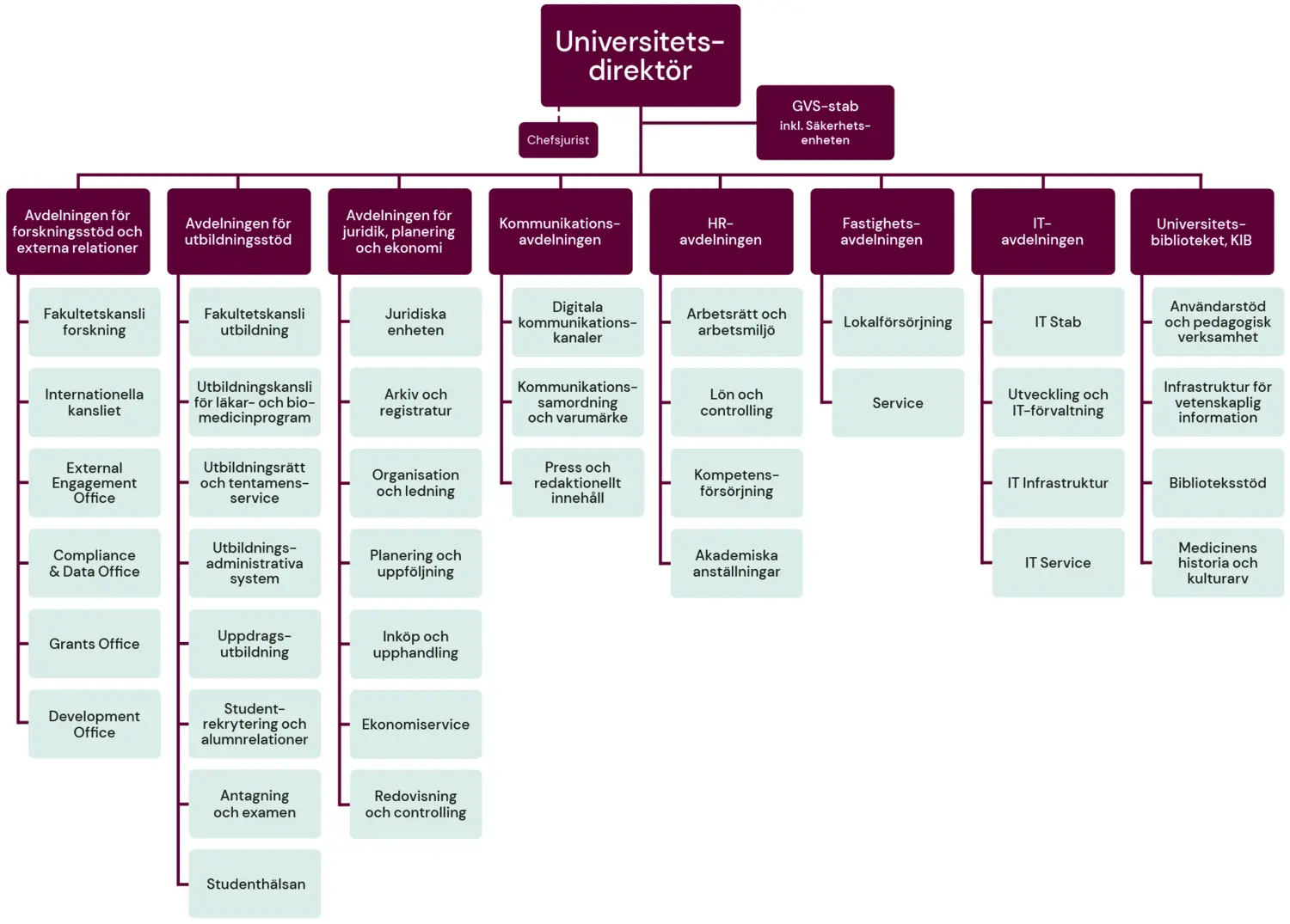 Ett organisationsschema med GVS sju olika avdelningar och tillhörande enheter samt namn på avdelningschefer from 2026.