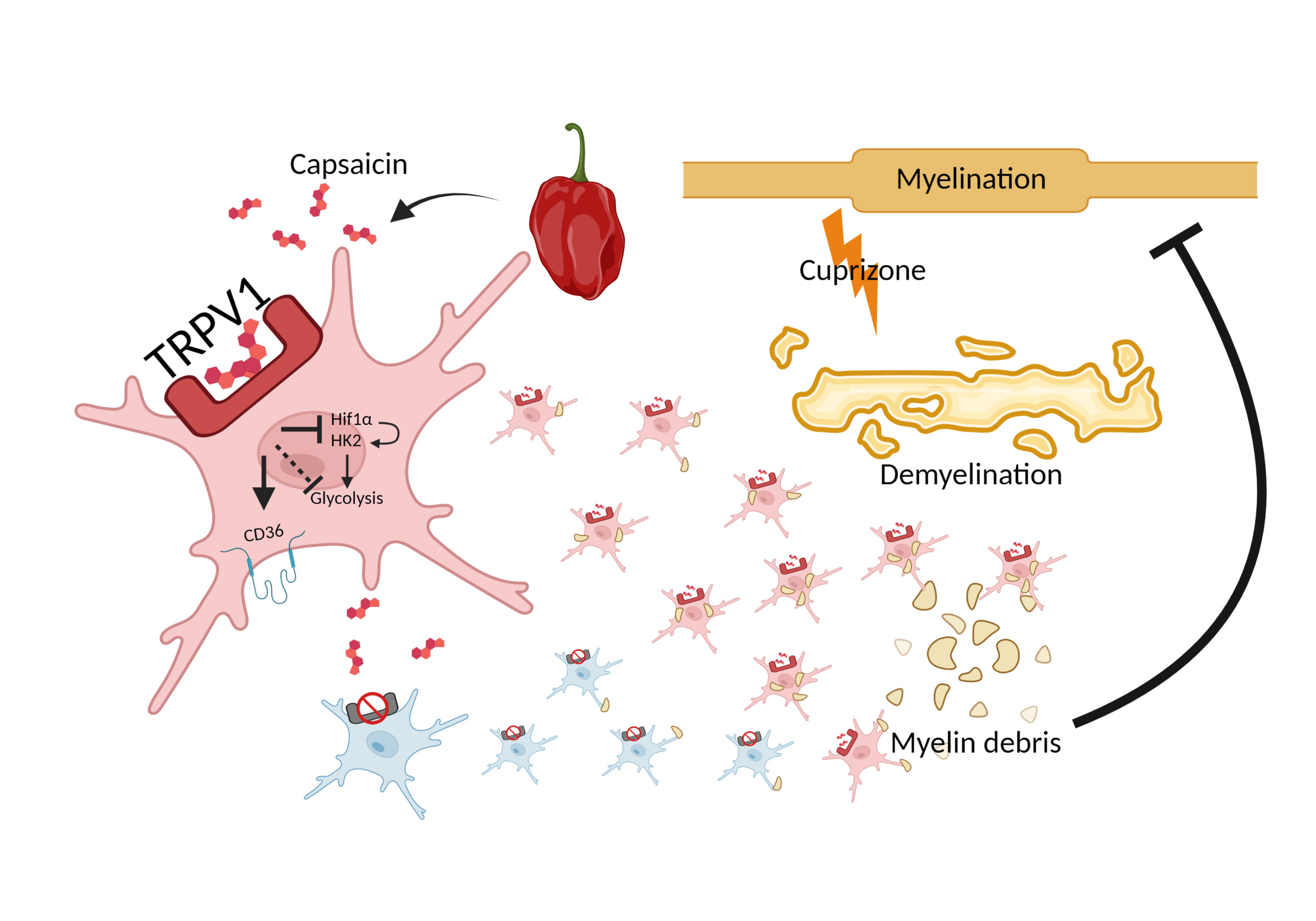 Research highlights Bob Harris