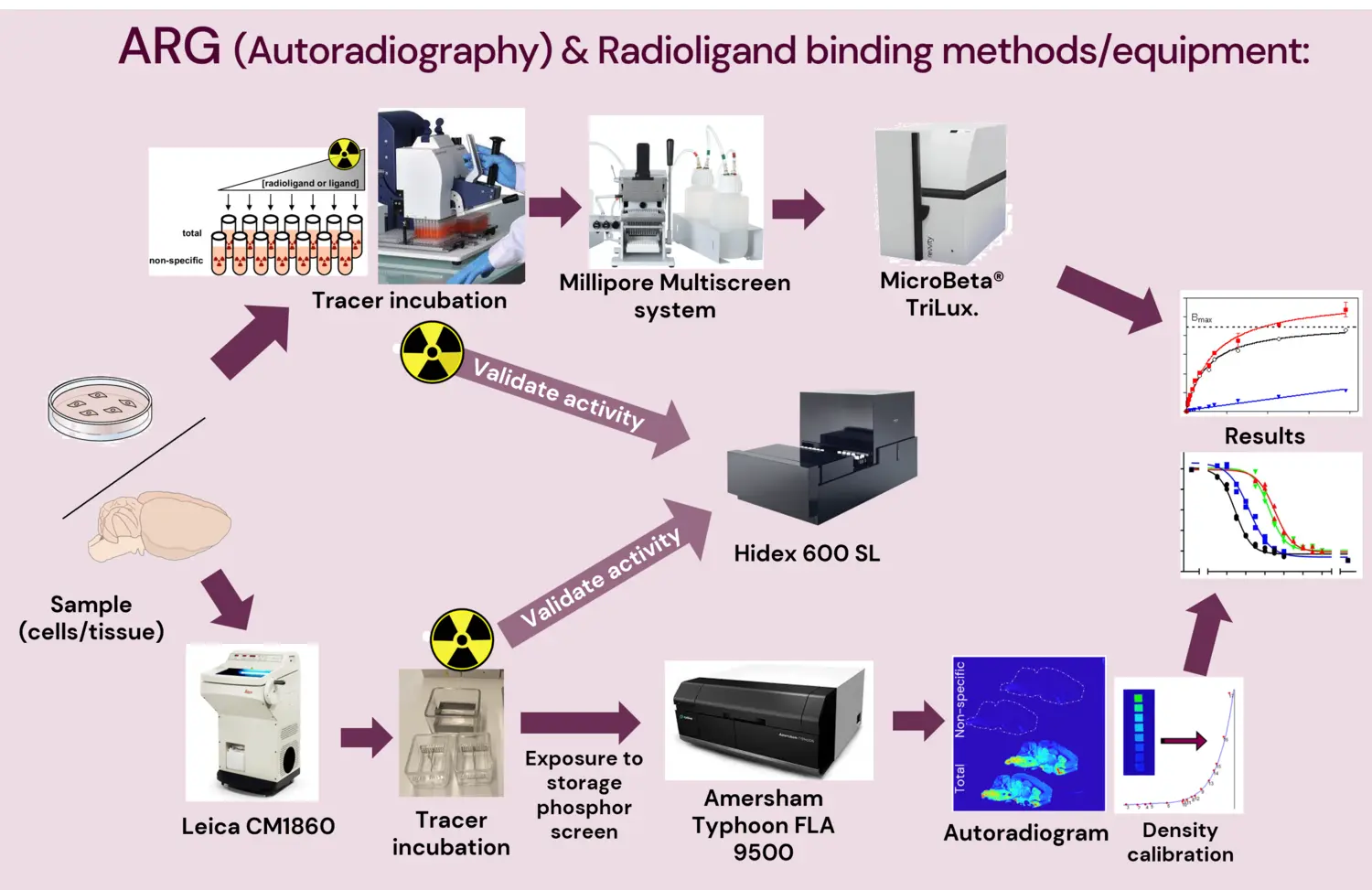 Typical workflow of methods and where ARG Core Facility instruments are important.