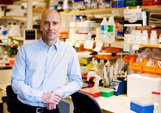 Jonas Frisén Foto: Martin Stenmark