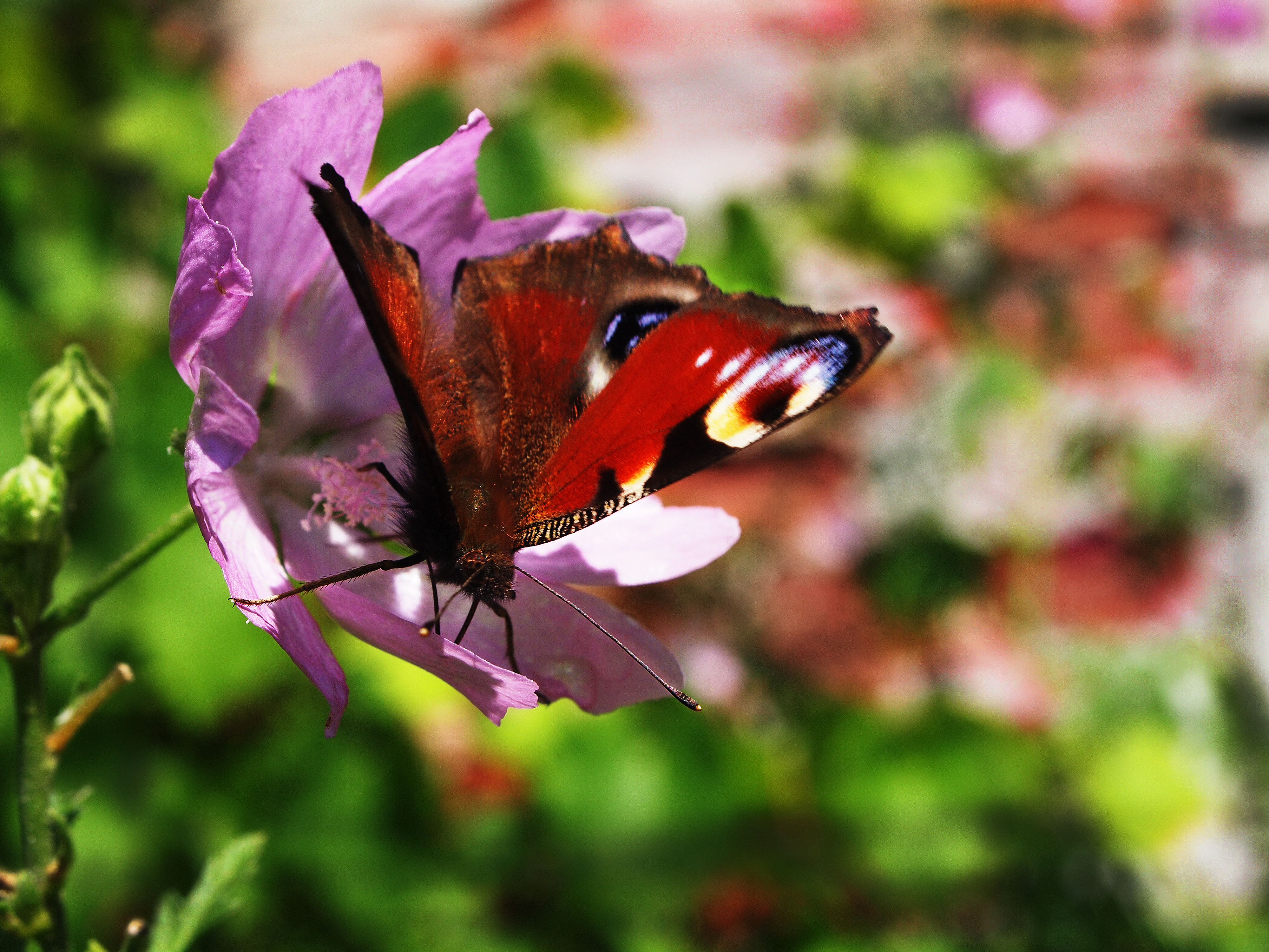 Photo: Stina Branting