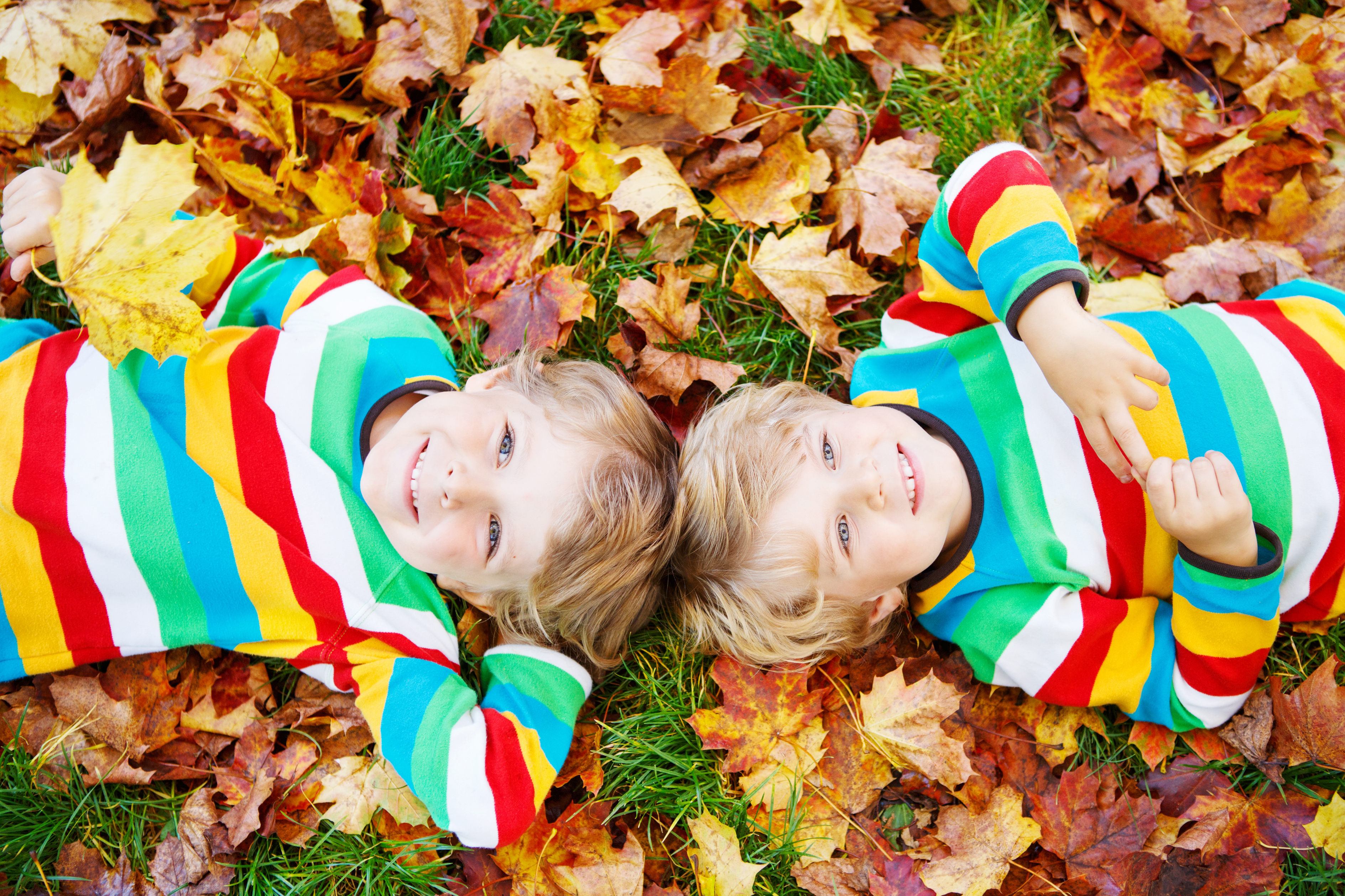 Tvillingpojkar i höstlöv