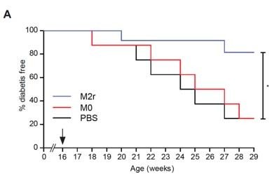 Diabetes, Bob Harris research group