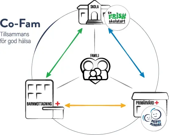 Model for the research project Co-fam, A partnership model for health promotion and early prevention and treatment of obesity