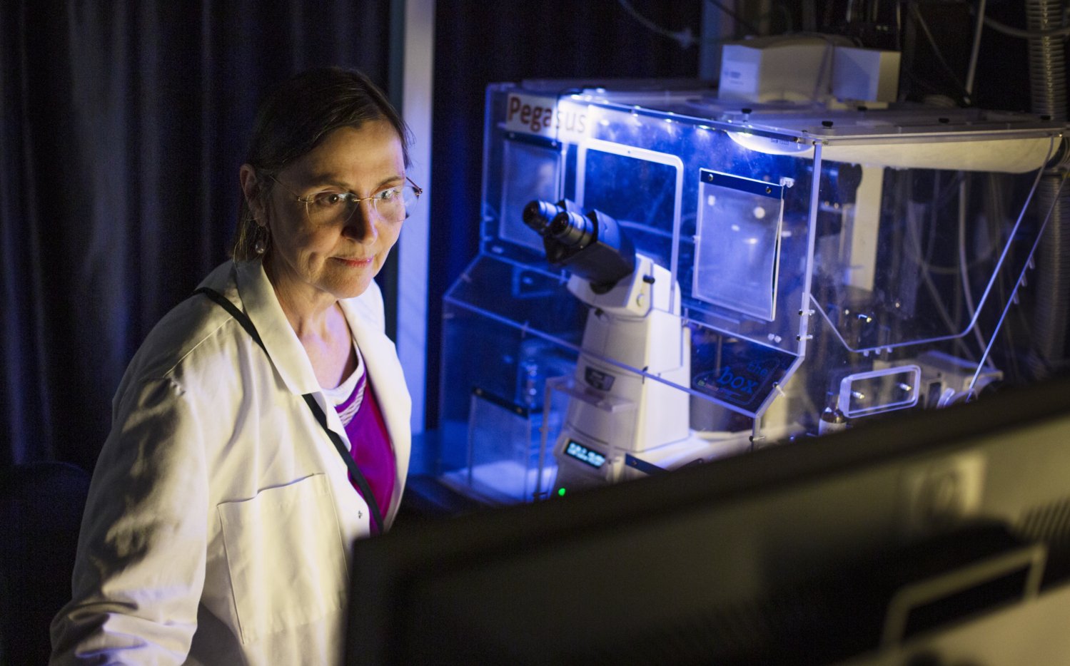 Sylvie le Guyader, senior forskningsinfrastrukturspecialist, vid mikroskop i det nedsläckta i laboratoriet.