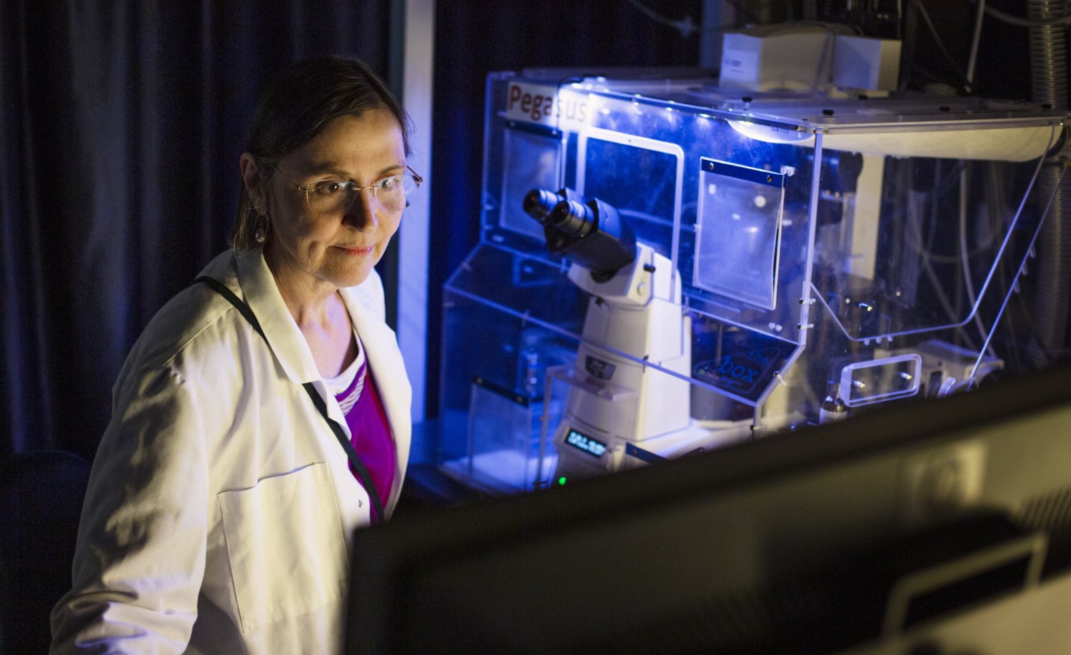 Sylvie le Guyader, senior research infrastructure specialist, at the microscope in the darkened laboratory.