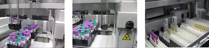 Automatiserad hantering av prov på KIBB.