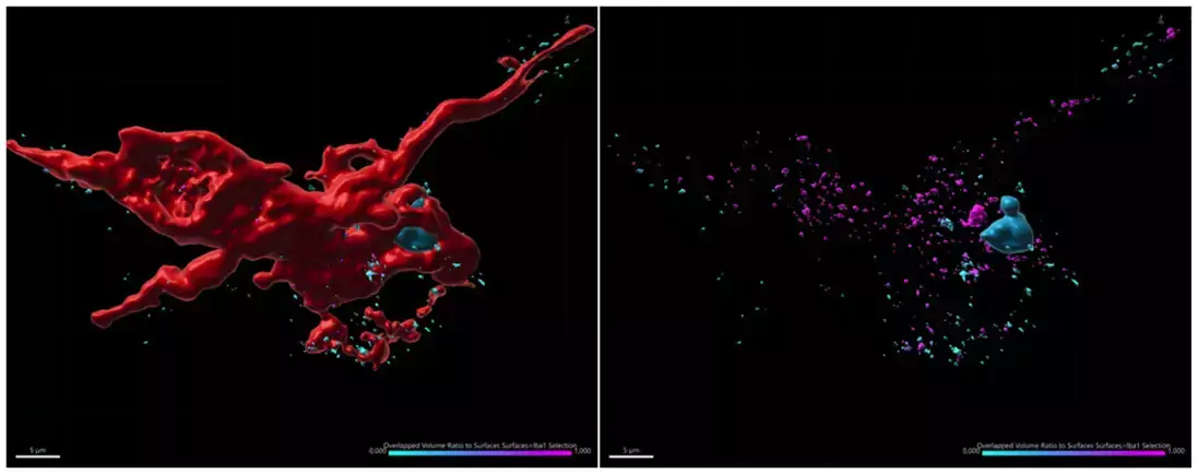 Asimenia Gkogka/Sellgren Lab