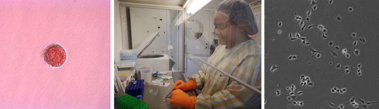 Foto: Pauliina Damdimopoulou