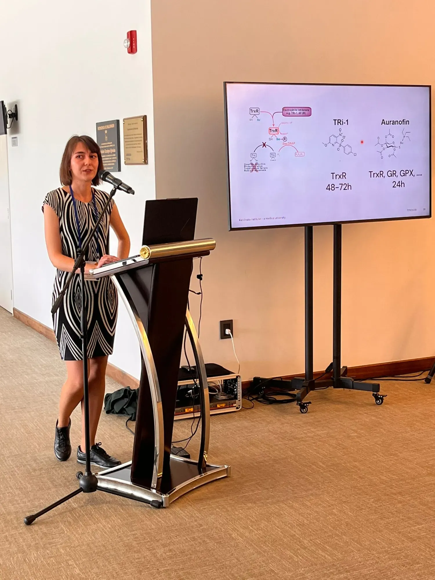 Radosveta - FlashTalk