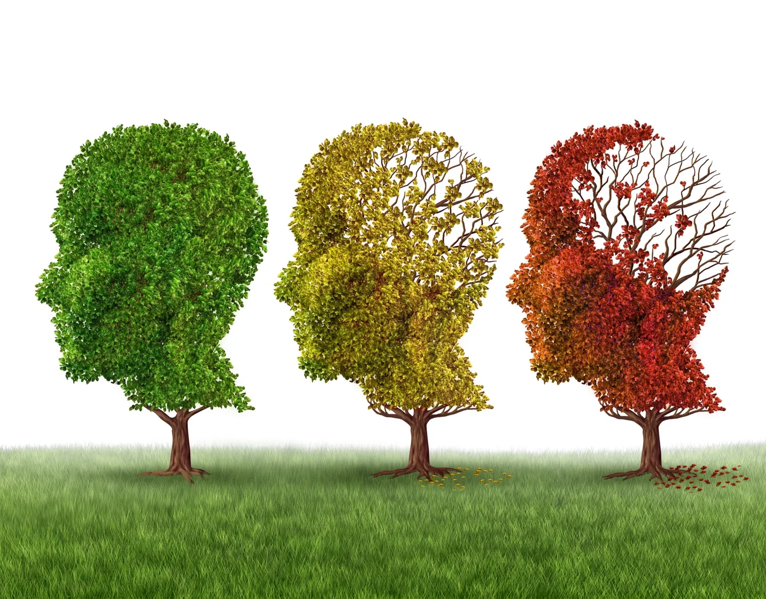Decorative image showing three trees like a profile of the same person in various colours and loosing leaves.