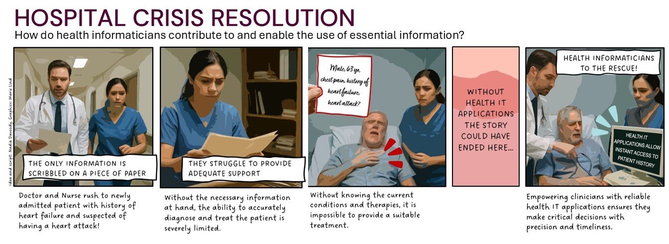 Health informaticians at work