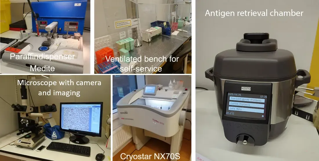 Photo collage of various instruments in the histology lab.