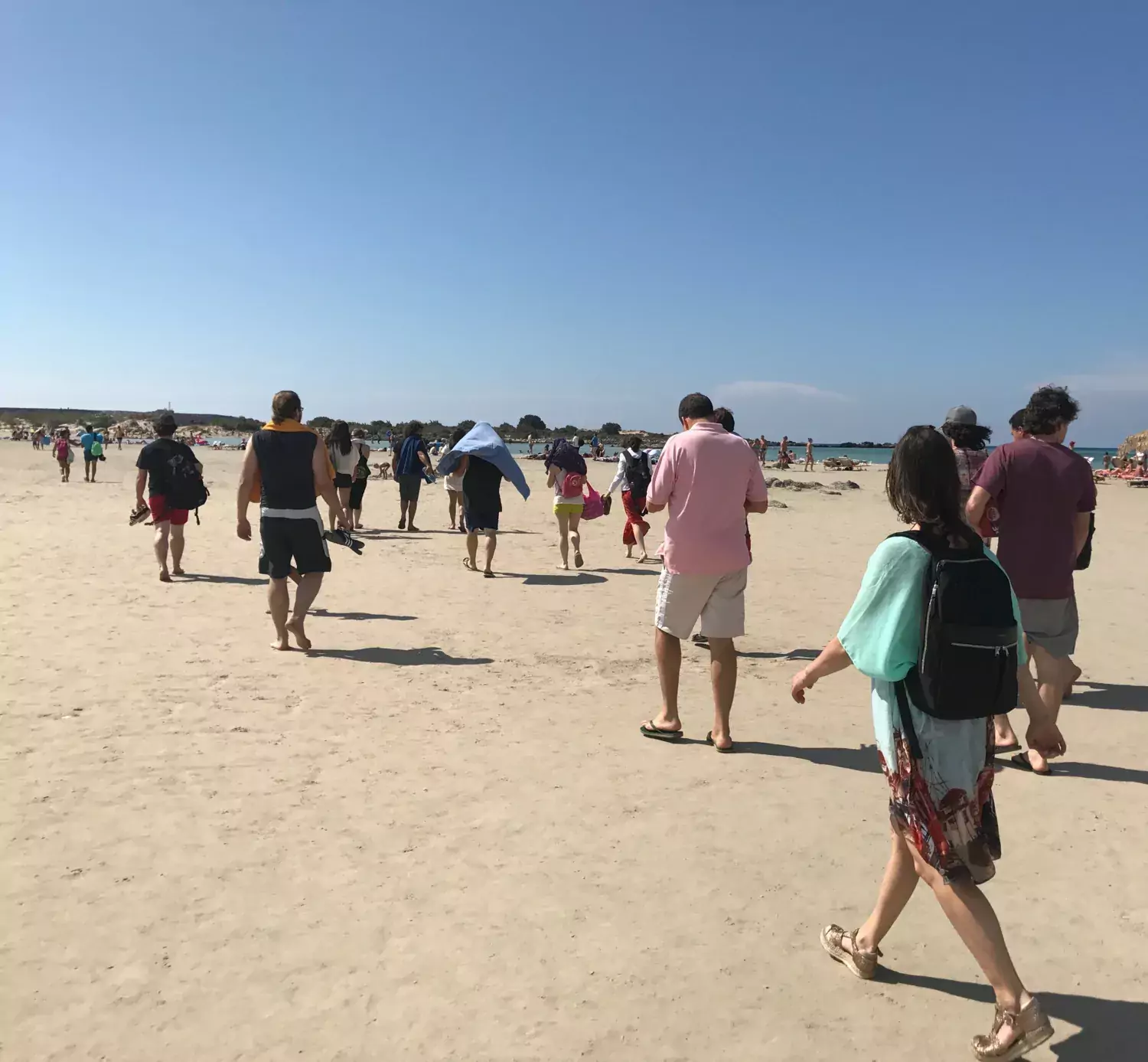 Members of the CarlenLab walking on the beach.