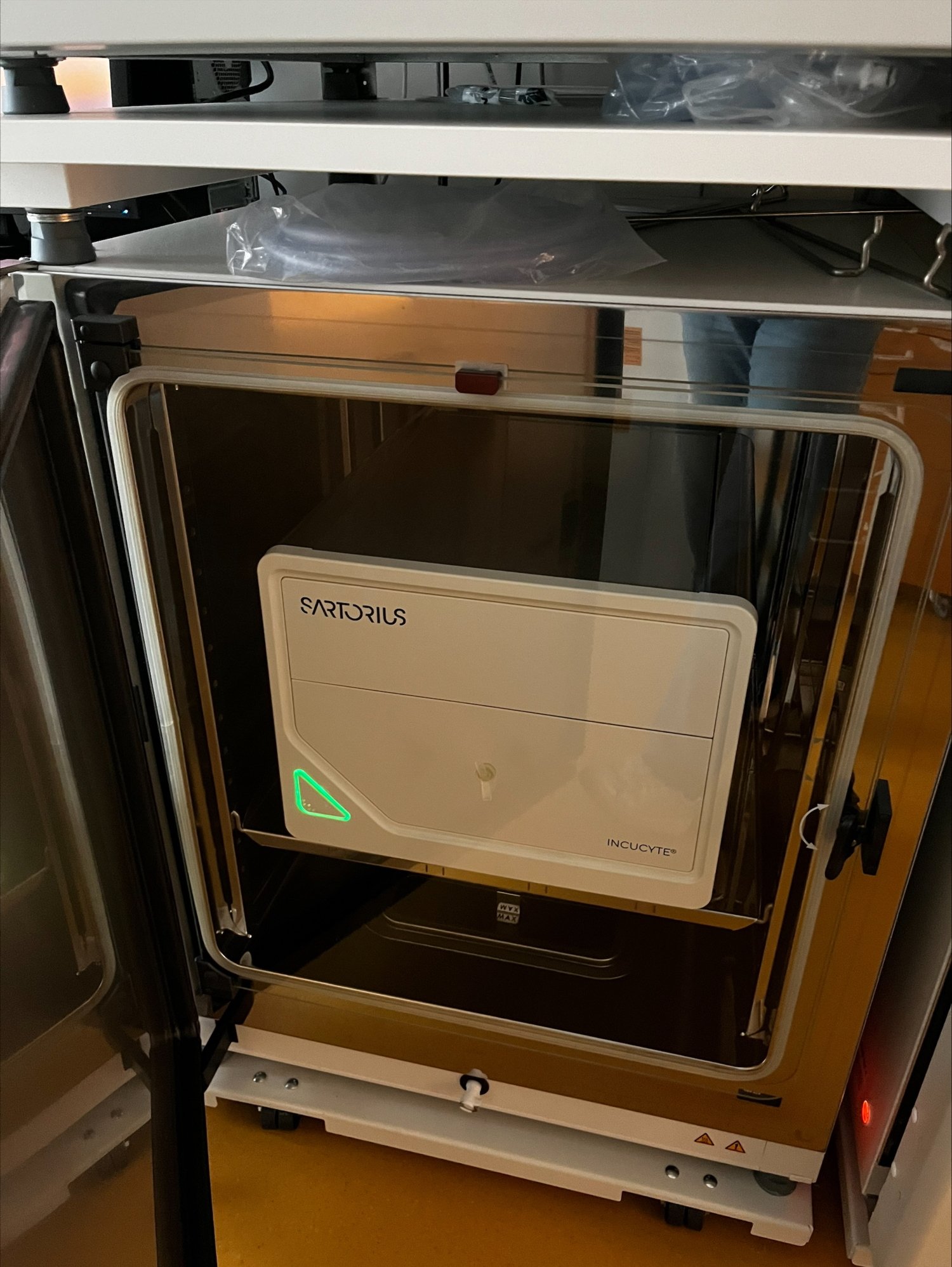 IncuCyte visible inside incubator for cell culture.