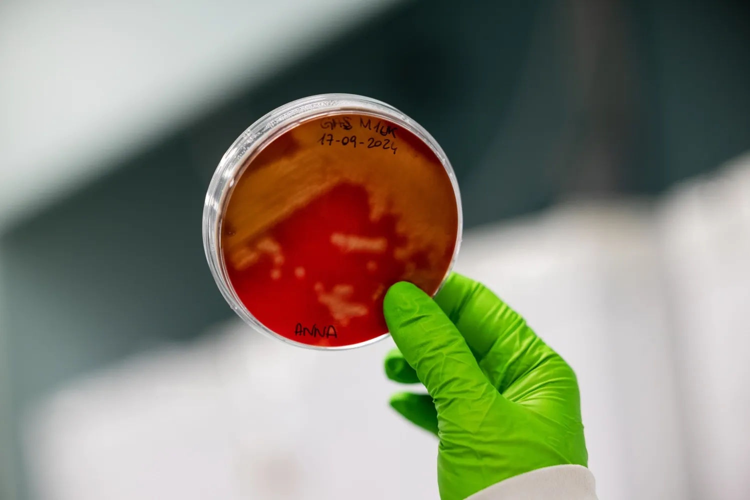 Lab environment in ANA Futura, Flemingsberg