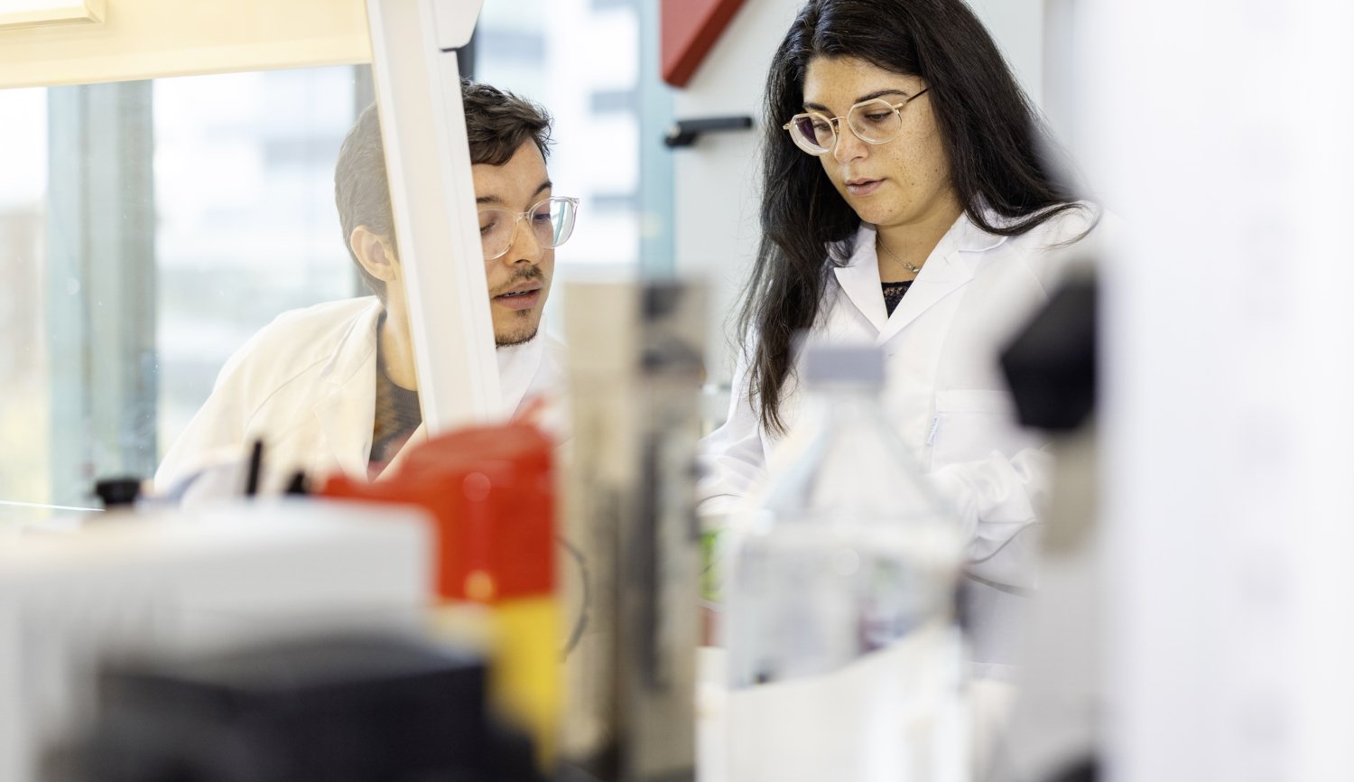 Detail image from lab