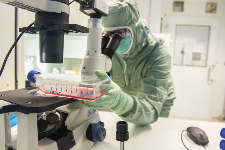 Culture flask with red liquid under a microscope in a clean room