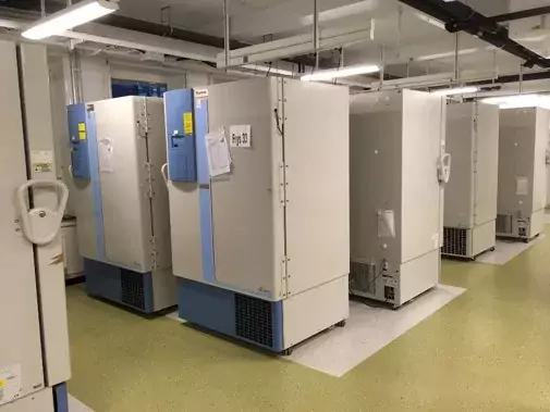 Förvaring av KI Biobanks forskningsprov.