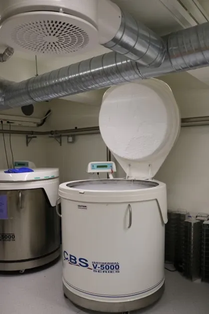 Förvaring av KI Biobanks forskningsprov.