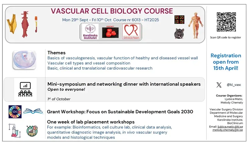 Grafisk illustration av kursen på engelska, Themes, Mini-symposium, one week lab placement