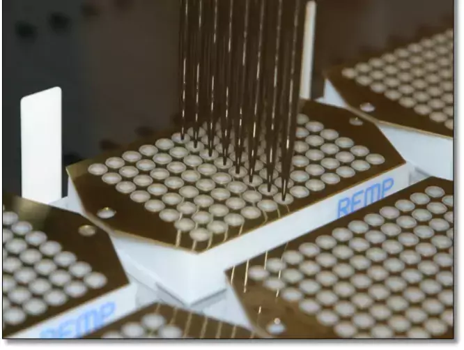 Utplock av biobanksprov.